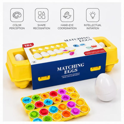 Matching Eggs Shape Sorting Game For Kids | Educational Learning Toy Set